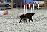 zomer wedstrijd someren zaterdag