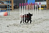 zomer wedstrijd someren zaterdag