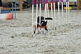 zomer wedstrijd someren zaterdag