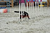 zomer wedstrijd someren zaterdag