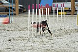 zomer wedstrijd someren zaterdag