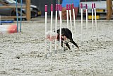 zomer wedstrijd someren zaterdag