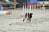 zomer wedstrijd someren zaterdag