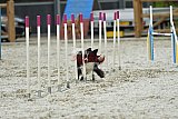 zomer wedstrijd someren zaterdag