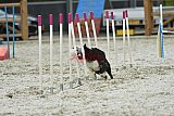 zomer wedstrijd someren zaterdag