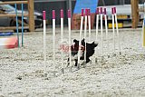 zomer wedstrijd someren zaterdag