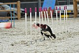 zomer wedstrijd someren zaterdag