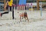 zomer wedstrijd someren zaterdag