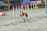 zomer wedstrijd someren zaterdag