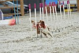 zomer wedstrijd someren zaterdag