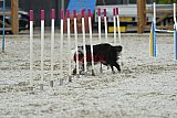 zomer wedstrijd someren zaterdag