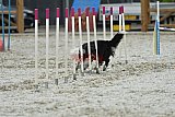 zomer wedstrijd someren zaterdag
