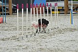 zomer wedstrijd someren zaterdag