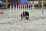 zomer wedstrijd someren zaterdag