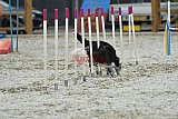 zomer wedstrijd someren zaterdag