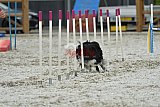 zomer wedstrijd someren zaterdag