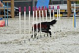 zomer wedstrijd someren zaterdag