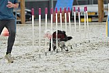 zomer wedstrijd someren zaterdag