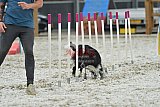 zomer wedstrijd someren zaterdag