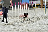 zomer wedstrijd someren zaterdag