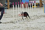 zomer wedstrijd someren zaterdag