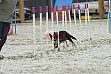 zomer wedstrijd someren zaterdag