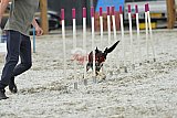 zomer wedstrijd someren zaterdag