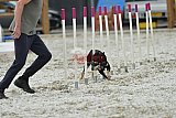 zomer wedstrijd someren zaterdag