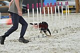 zomer wedstrijd someren zaterdag