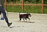 zomer wedstrijd someren zaterdag