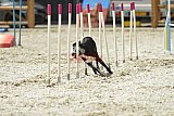 zomer wedstrijd someren zaterdag