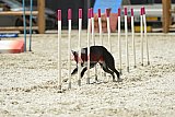 zomer wedstrijd someren zaterdag