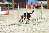 zomer wedstrijd someren zaterdag