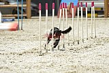 zomer wedstrijd someren zaterdag