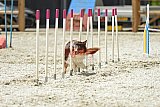 zomer wedstrijd someren zaterdag