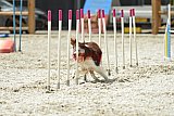 zomer wedstrijd someren zaterdag