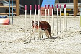 zomer wedstrijd someren zaterdag