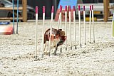 zomer wedstrijd someren zaterdag