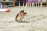 zomer wedstrijd someren zaterdag