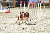 zomer wedstrijd someren zaterdag