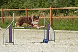 zomer wedstrijd someren zaterdag