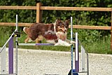 zomer wedstrijd someren zaterdag