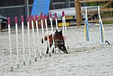 zomer wedstrijd someren zaterdag