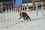 zomer wedstrijd someren zaterdag