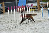 zomer wedstrijd someren zaterdag