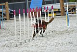zomer wedstrijd someren zaterdag