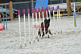 zomer wedstrijd someren zaterdag