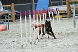 zomer wedstrijd someren zaterdag