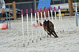 zomer wedstrijd someren zaterdag