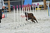 zomer wedstrijd someren zaterdag